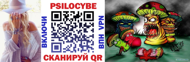 дарнет шоп  Сольвычегодск  Псилоцибиновые грибы Psilocybine cubensis 
